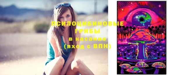 ECSTASY Бородино
