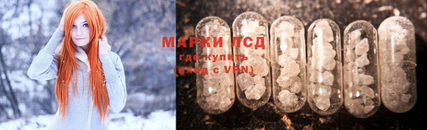 ECSTASY Бородино