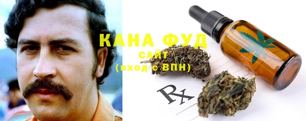 ECSTASY Бородино