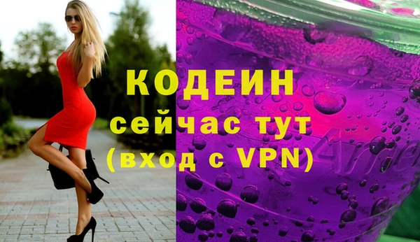 ECSTASY Бородино