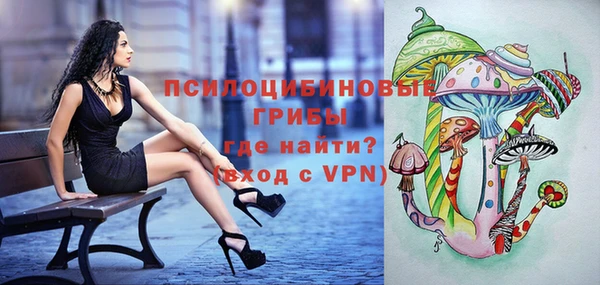 соль ск Бугульма