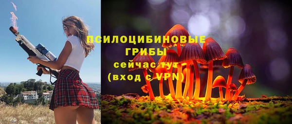 соль ск Бугульма