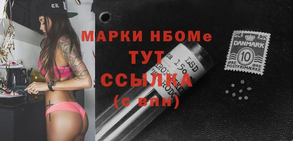 ECSTASY Бородино