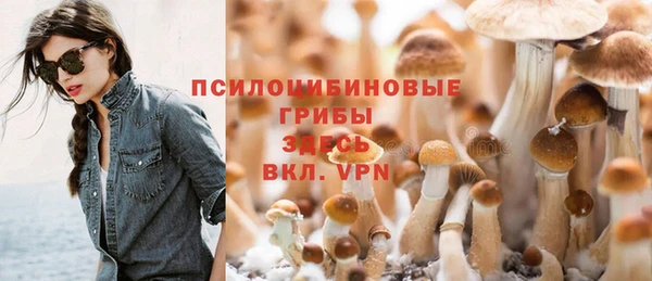 ECSTASY Бородино