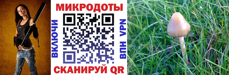 Псилоцибиновые грибы Cubensis  hydra как войти  Партизанск 